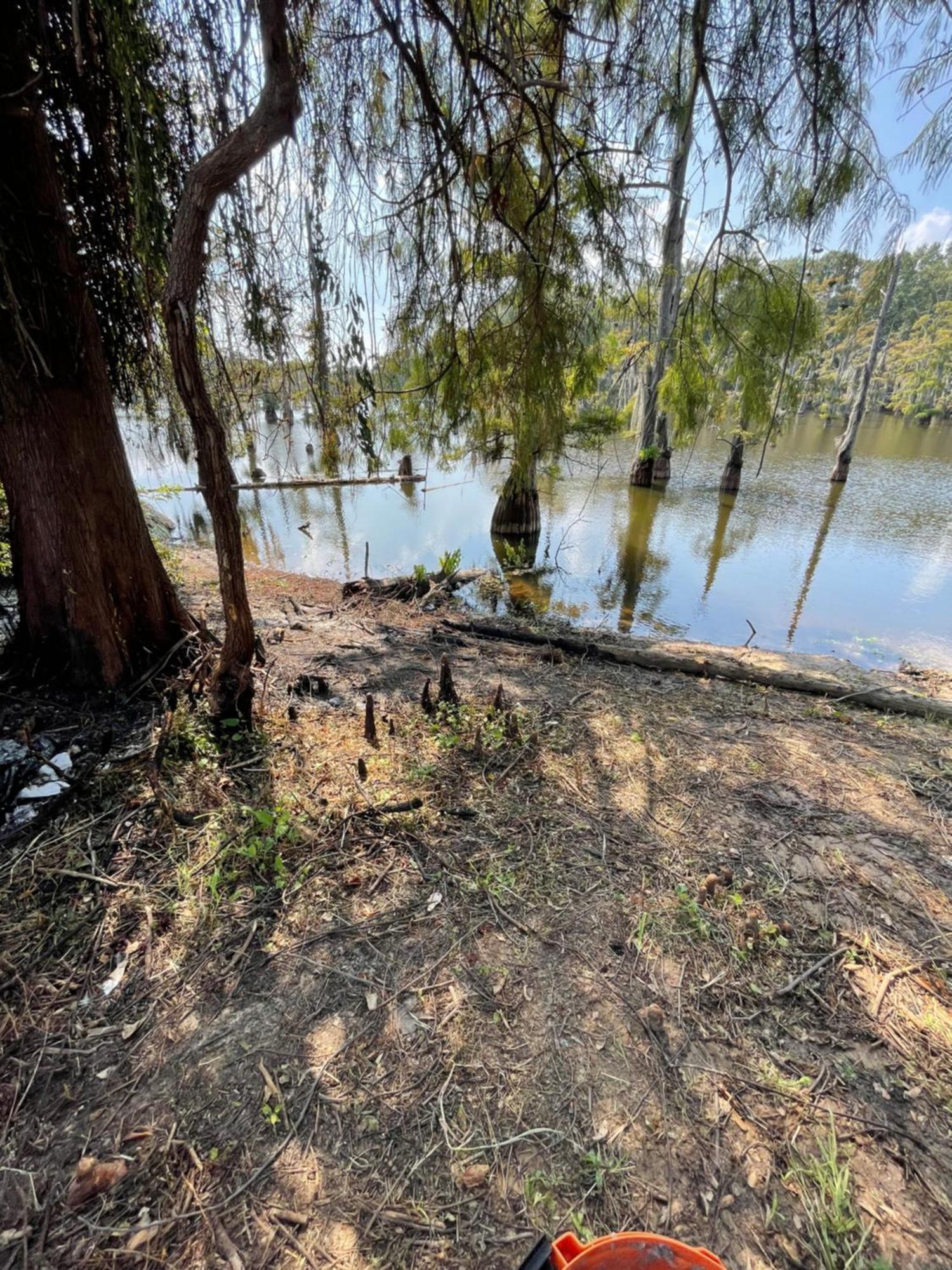 Bayou And Beyond Bayou View Monroe Esterno foto